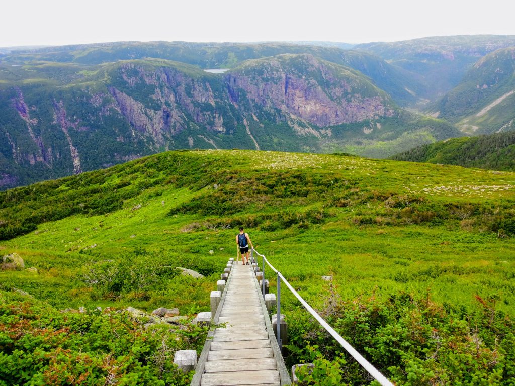 A young adult hiker descending down a long staircase from Gros Morne Mountain, in Gros Morne National Park, Newfoundland and Labrador, Canada.